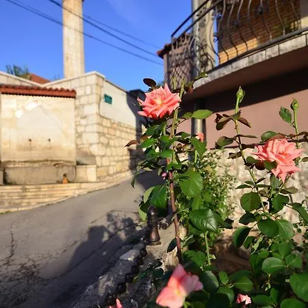 דירה Apartment Jana